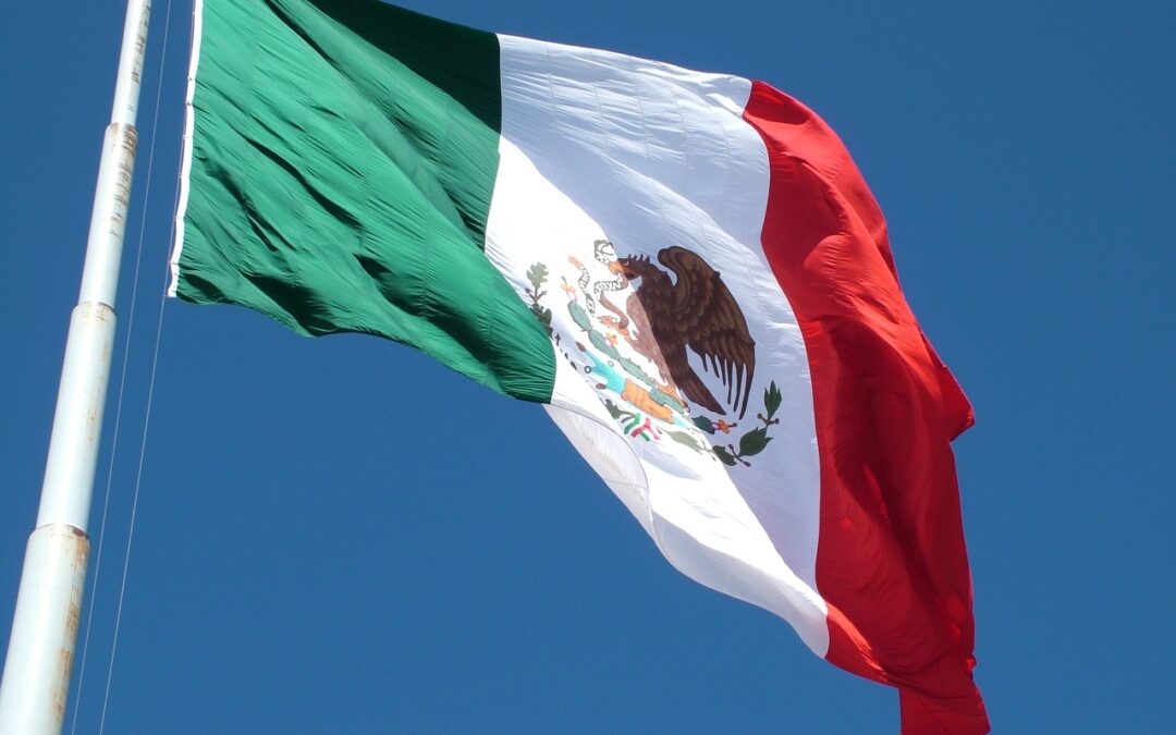 Unlocking the Power of Attorney: Notarization and Apostille for Mexico