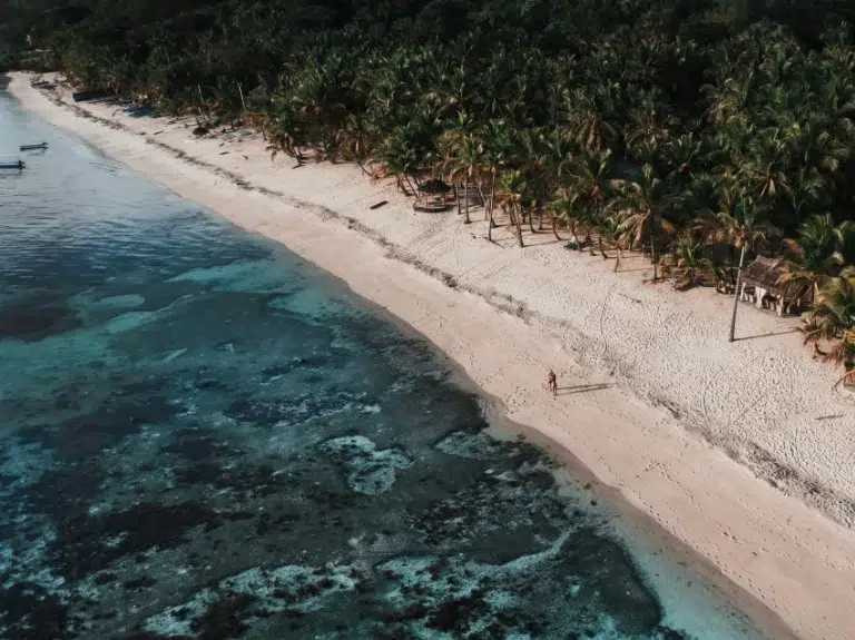 Aerial view of a serene beach with clear turquoise waters, a narrow strip of white sand, and dense palm trees lining the shore. A small boat is visible on the water, and a single person walks along the beach.
