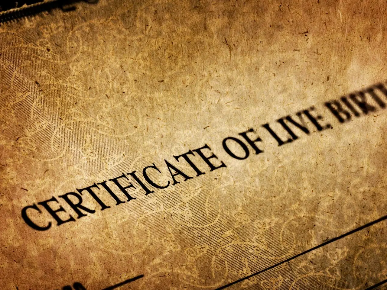 Close-up of a vintage-style Certificate of Live Birth document showing an ornate border. The words are prominently displayed in dark, bold lettering on an aged, textured paper background, creating a sense of antiquity.
