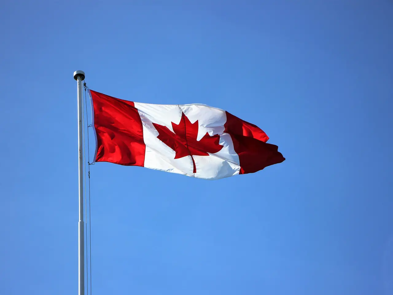 The Canadian flag with a red maple leaf in the center, flanked by two red vertical bands on each side, waves on a flagpole against a clear blue sky.