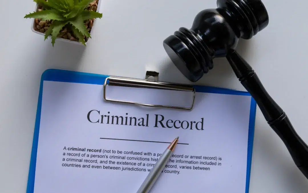 A clipboard holds a document titled Criminal Record next to a gavel and a small potted plant on a white desk.