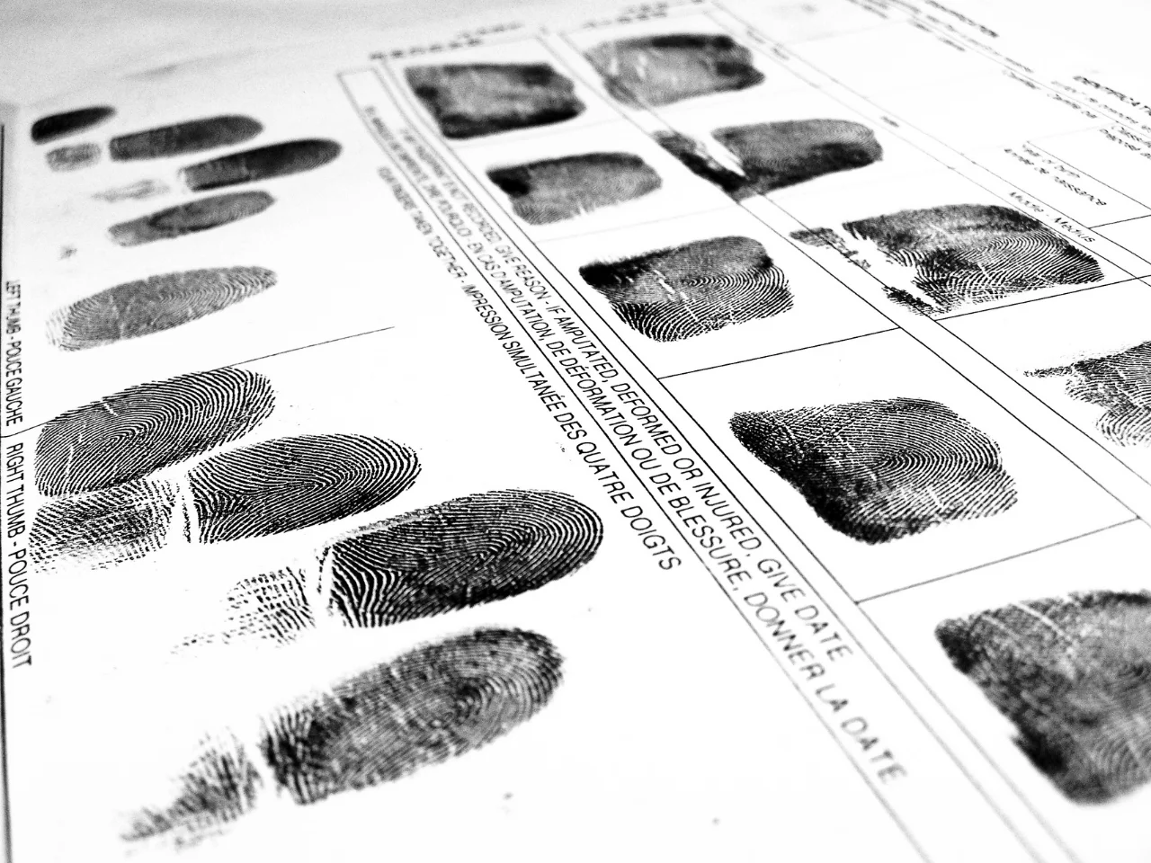 Close-up of a fingerprint card showing multiple rows of inked fingerprints and corresponding boxes, used for identification or forensic purposes. Text in French is visible on the document.