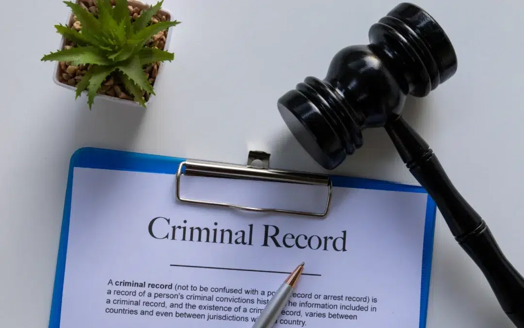A clipboard with a document titled Criminal Record, a pen, a gavel, and a small potted plant are arranged on a white surface.