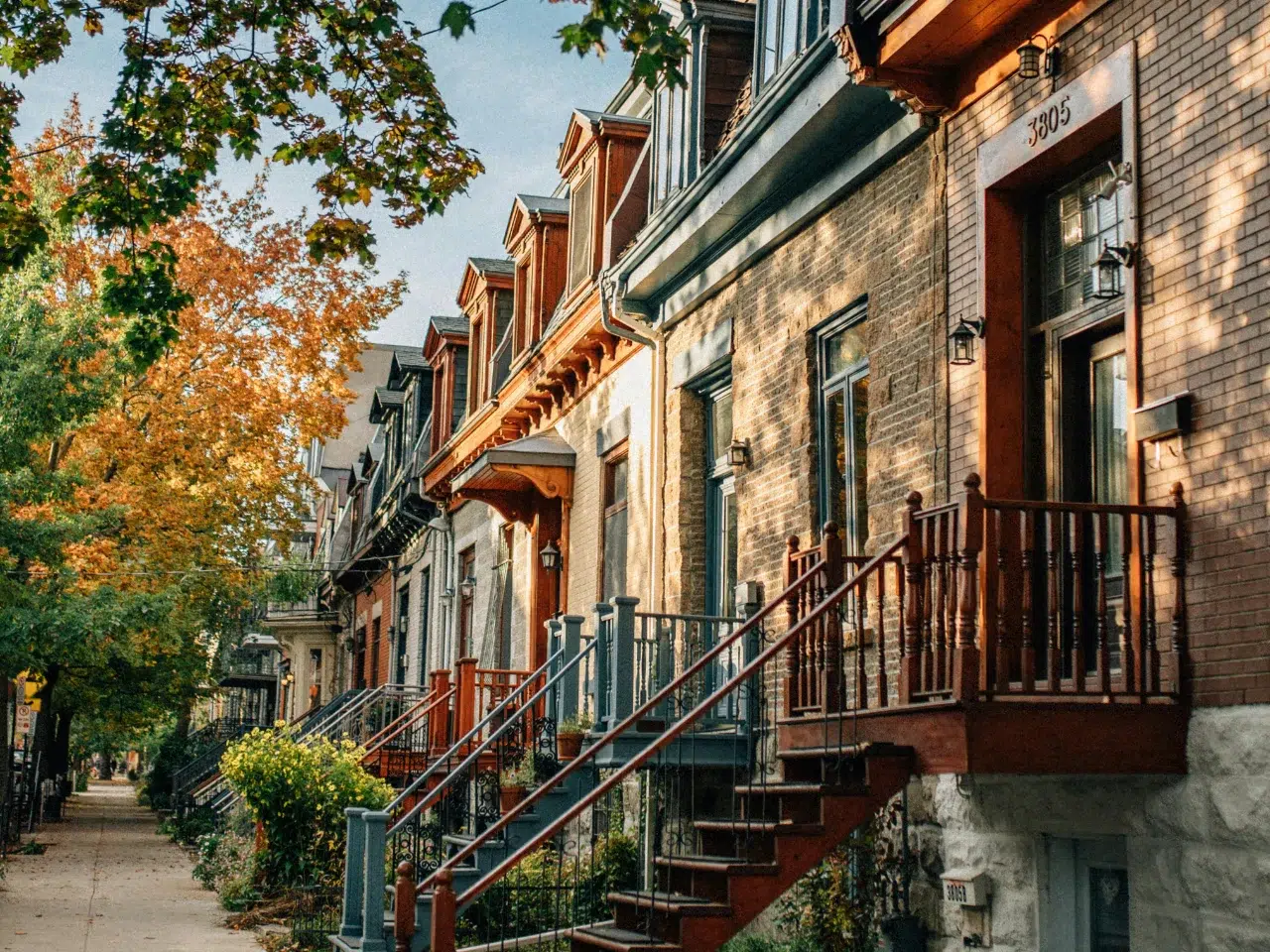 Row of colorful townhouses with stoops and railings, autumn trees with yellow and green leaves lining a quiet sidewalk, under a clear sky.