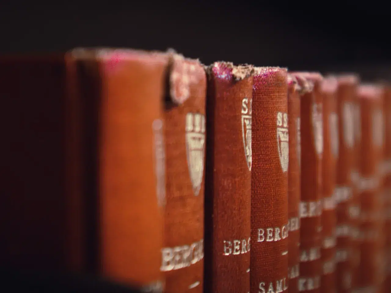 A row of old, worn red books with frayed edges sits on a shelf. The titles and symbols on the spines are faded but partially visible.