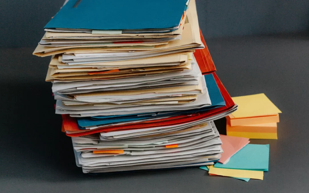 Immigration paperwork prepared for a criminal record check application