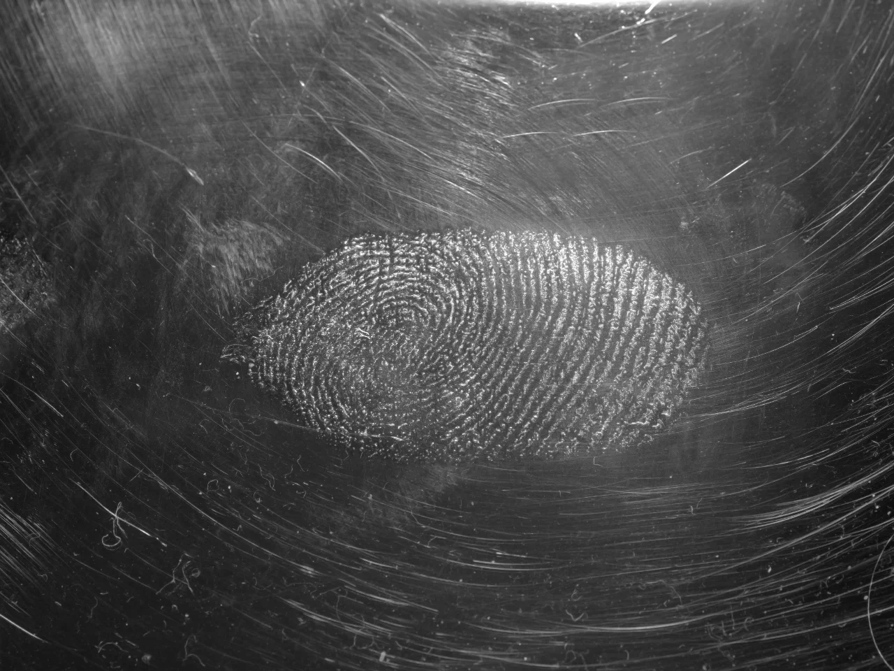 A fingerprint pattern representing biometric identity verification