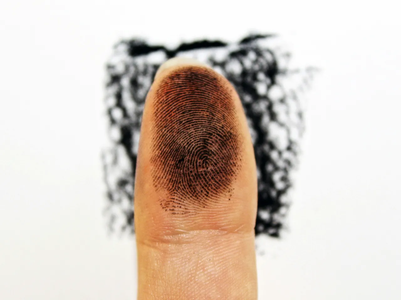 Fingerprints representing identity checks for positions of trust