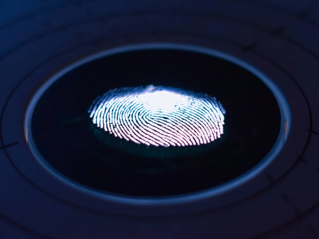 A fingerprint macro representing biometric identity verification